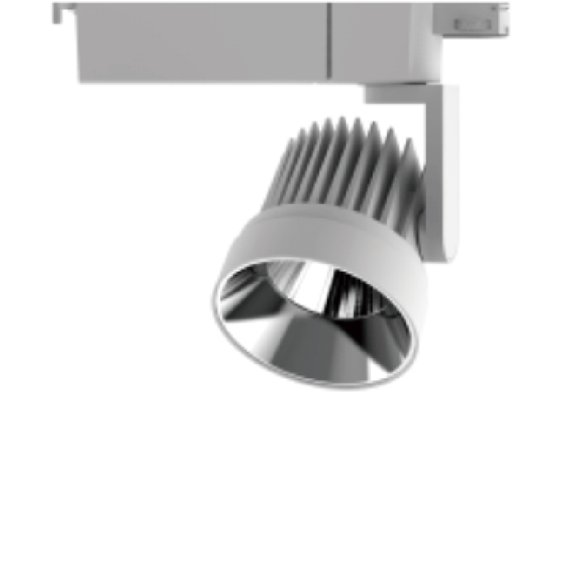 Roll RL-100COB5
